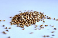 Aromatic (British)